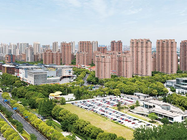 市政园林施工图片